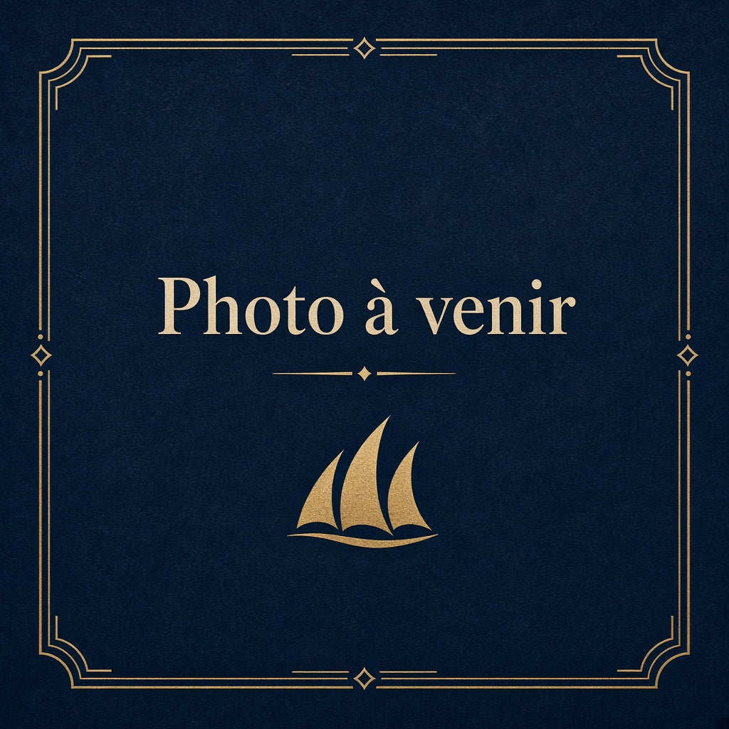 Display One Piece OP-05 (scellé) — photo à venir